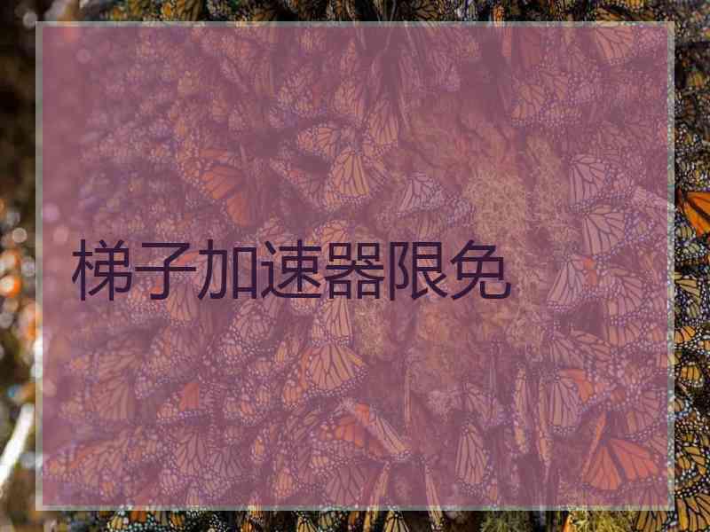 梯子加速器限免