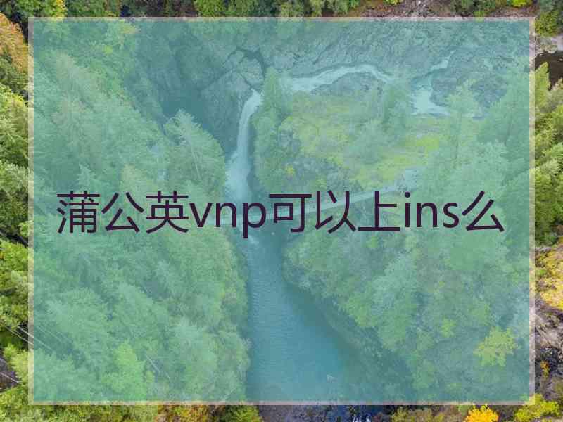 蒲公英vnp可以上ins么