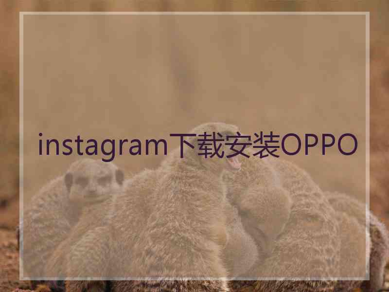 instagram下载安装OPPO