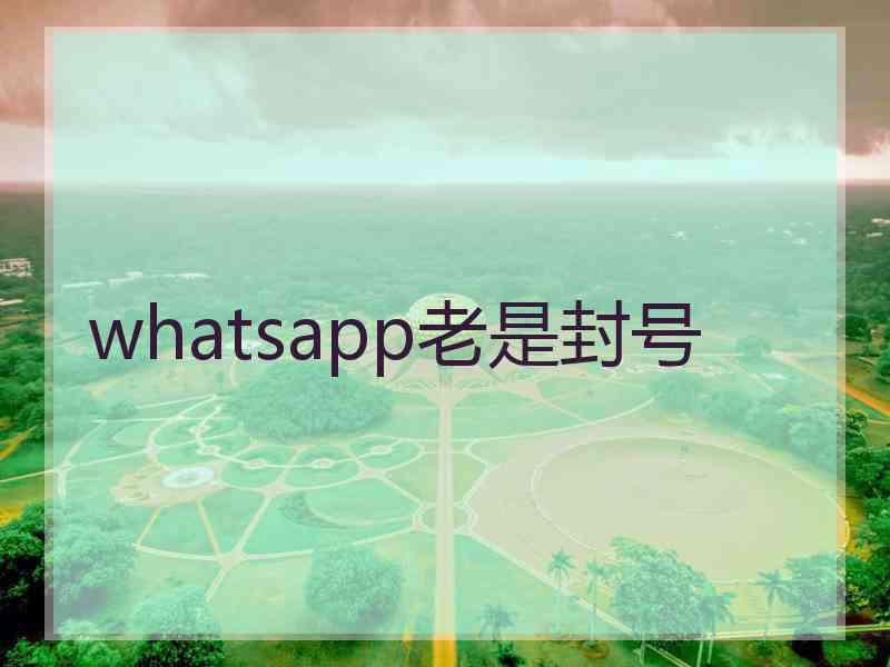 whatsapp老是封号