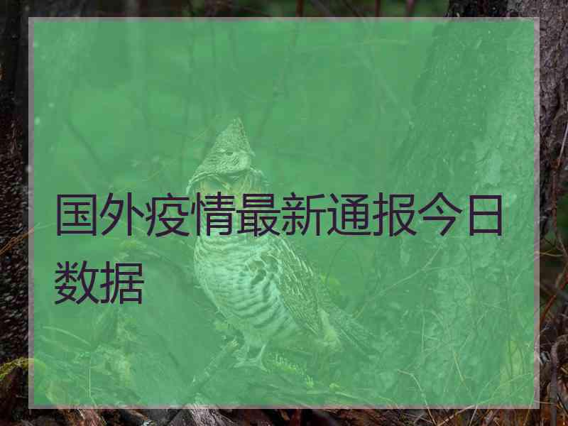 国外疫情最新通报今日数据