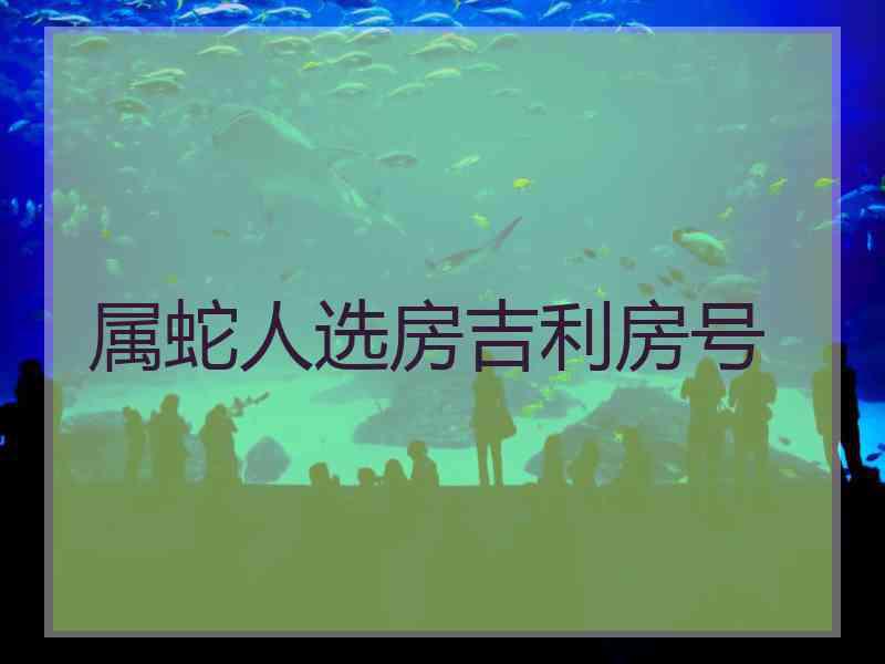 属蛇人选房吉利房号