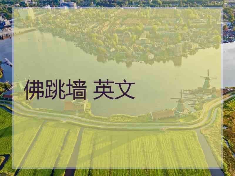 佛跳墙 英文