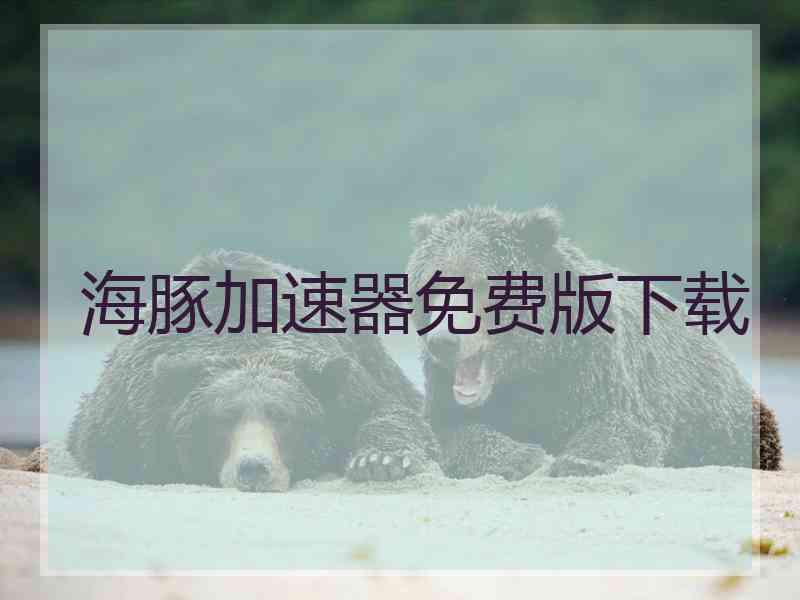 海豚加速器免费版下载