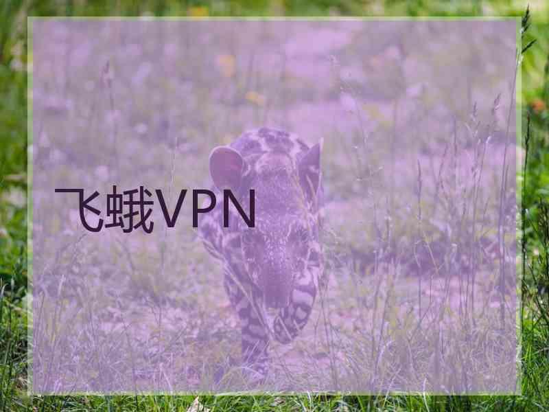 飞蛾VPN
