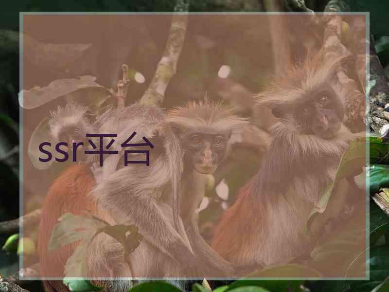 ssr平台