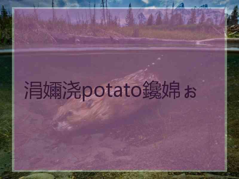 涓嬭浇potato鑱婂ぉ