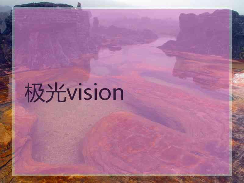 极光vision