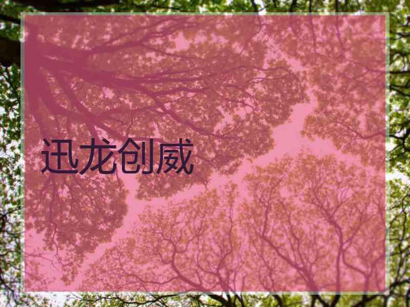 迅龙创威
