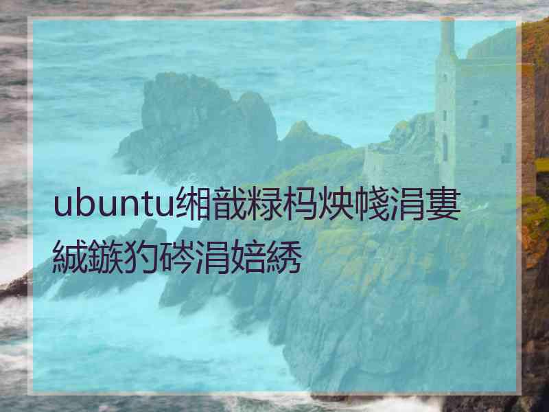 ubuntu缃戠粶杩炴帴涓婁絾鏃犳硶涓婄綉