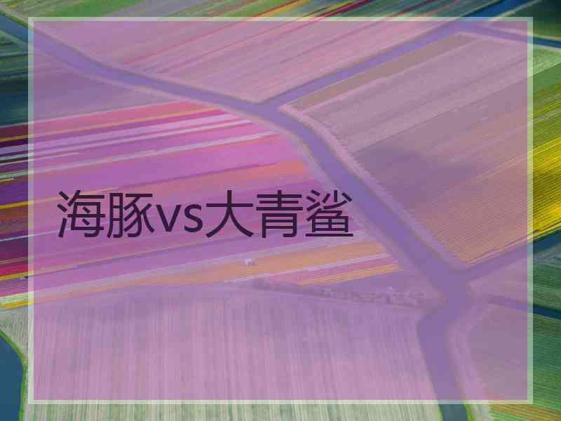海豚vs大青鲨