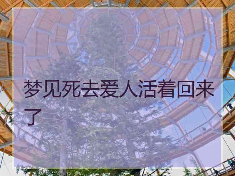 梦见死去爱人活着回来了