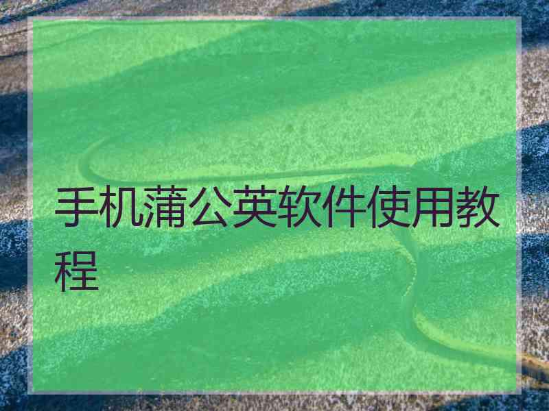 手机蒲公英软件使用教程