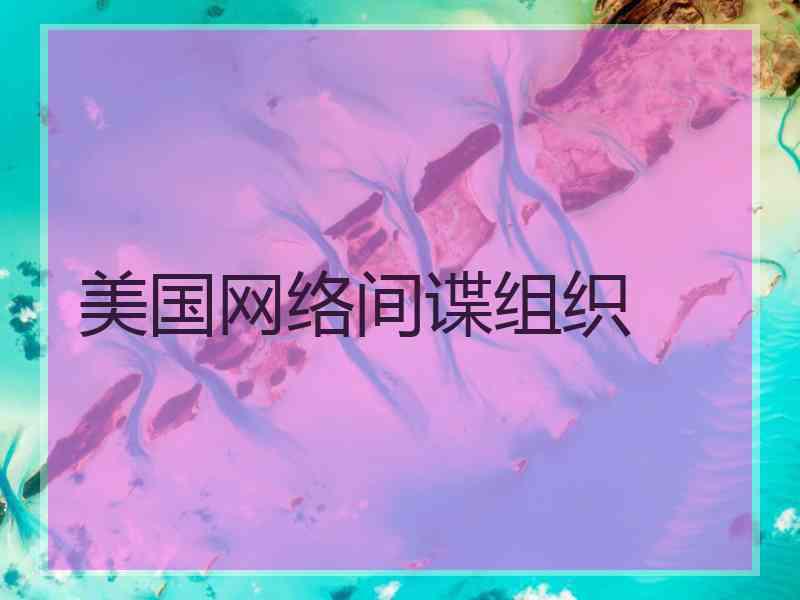 美国网络间谍组织