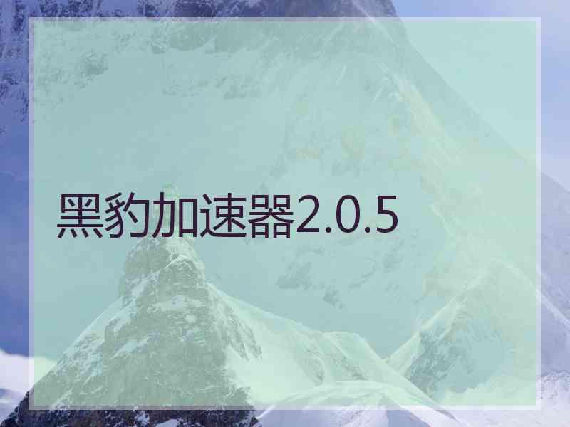 黑豹加速器2.0.5