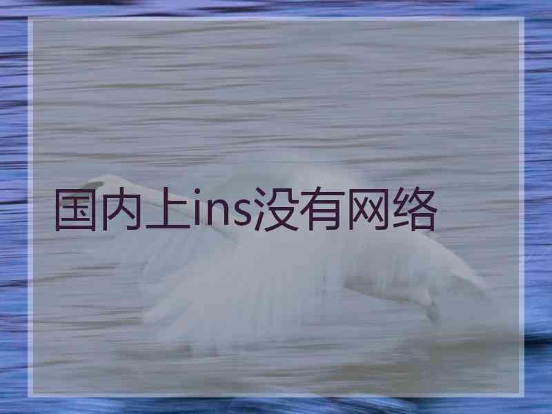 国内上ins没有网络