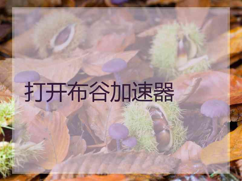 打开布谷加速器