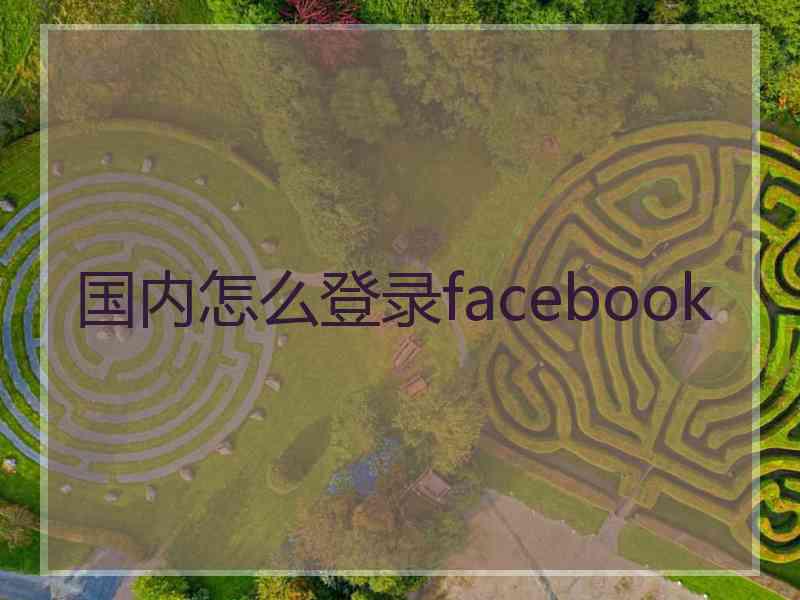 国内怎么登录facebook