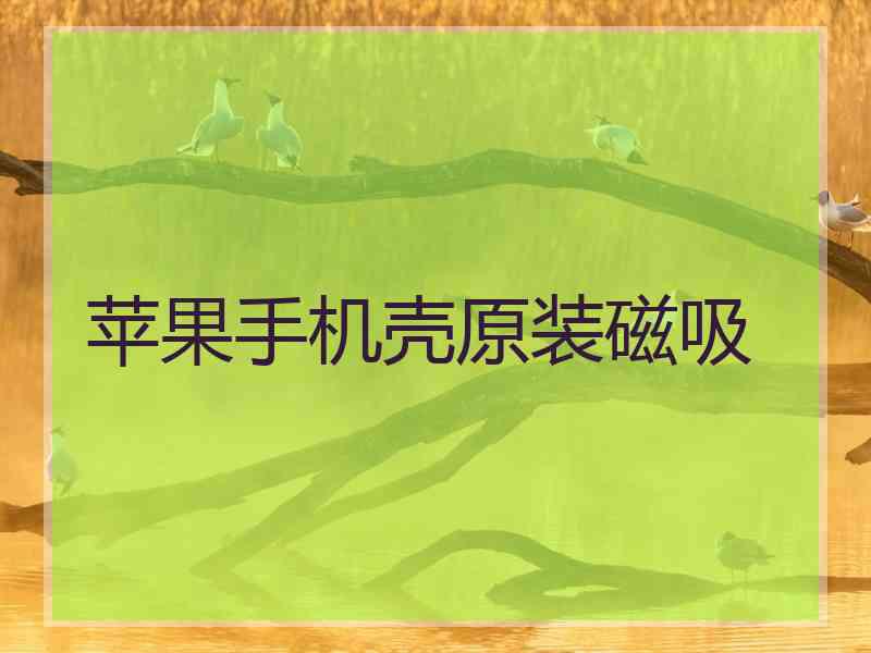 苹果手机壳原装磁吸