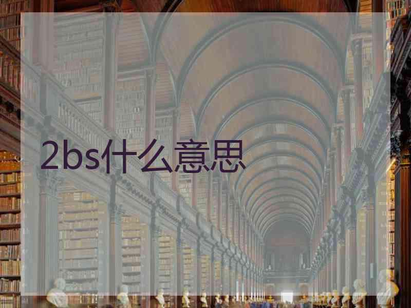 2bs什么意思