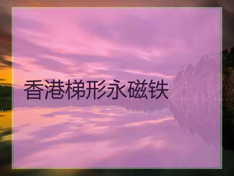 香港梯形永磁铁