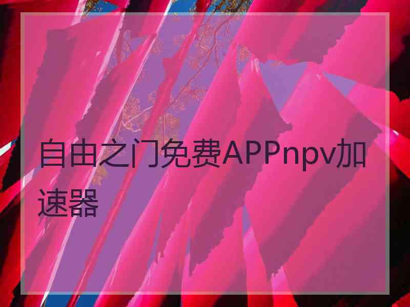 自由之门免费APPnpv加速器