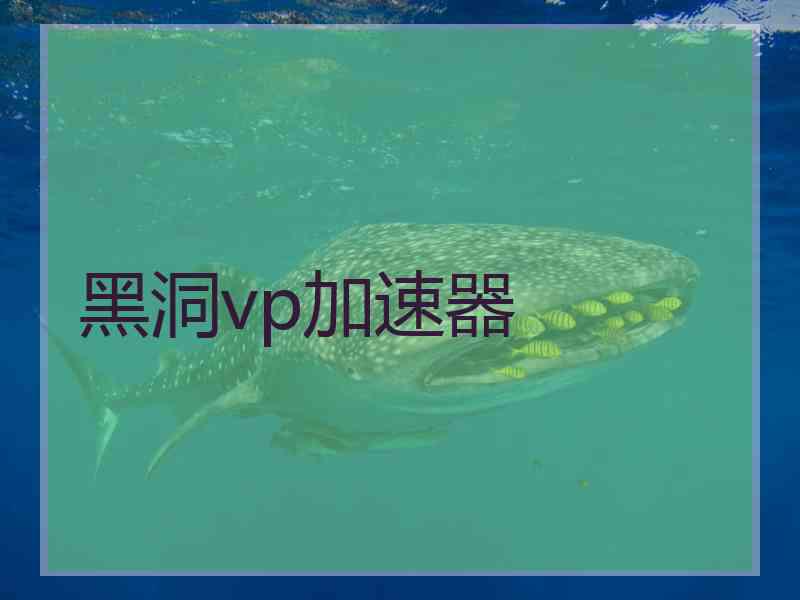 黑洞vp加速器