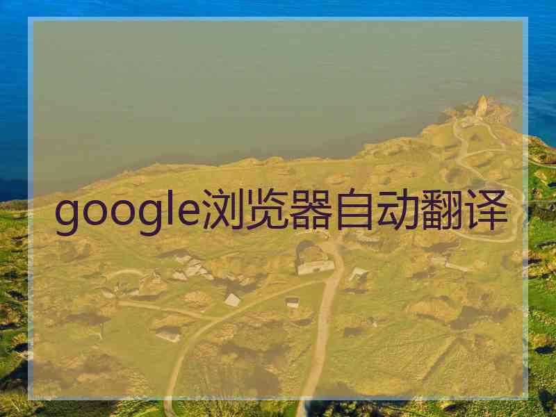 google浏览器自动翻译