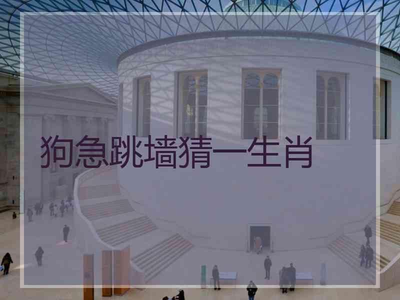 狗急跳墙猜一生肖