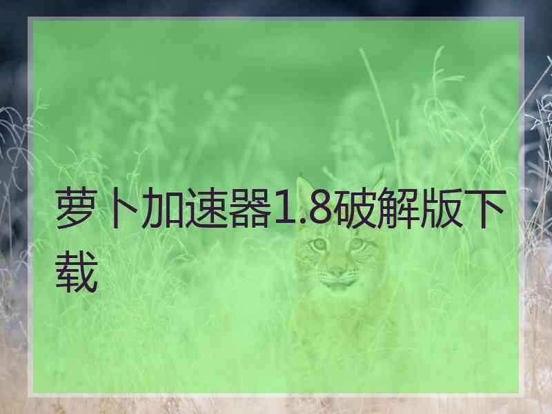 萝卜加速器1.8破解版下载