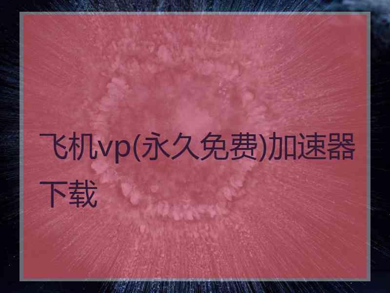 飞机vp(永久免费)加速器下载