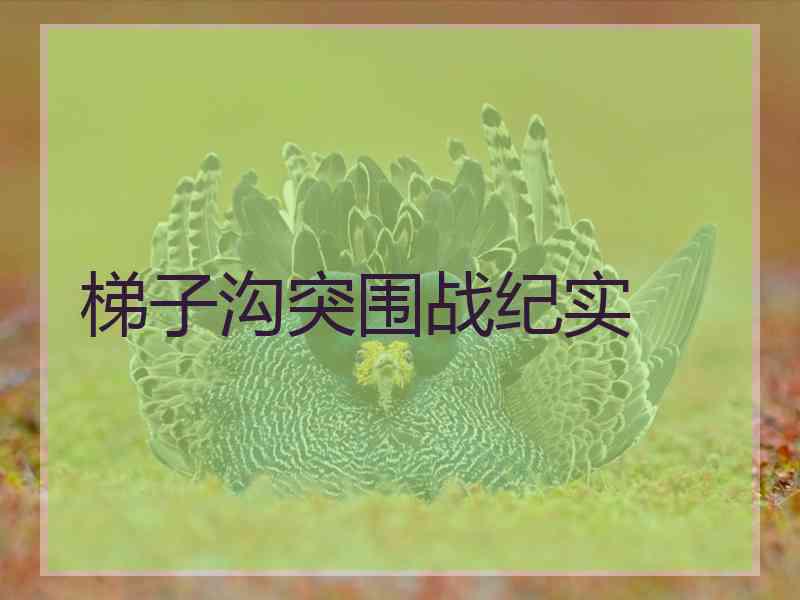 梯子沟突围战纪实