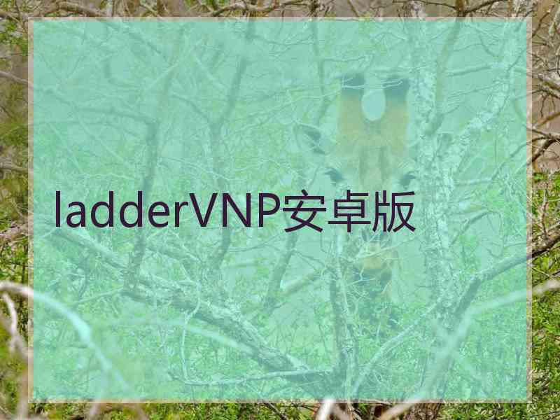 ladderVNP安卓版