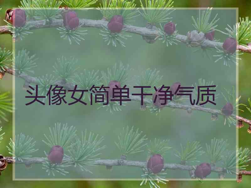 头像女简单干净气质