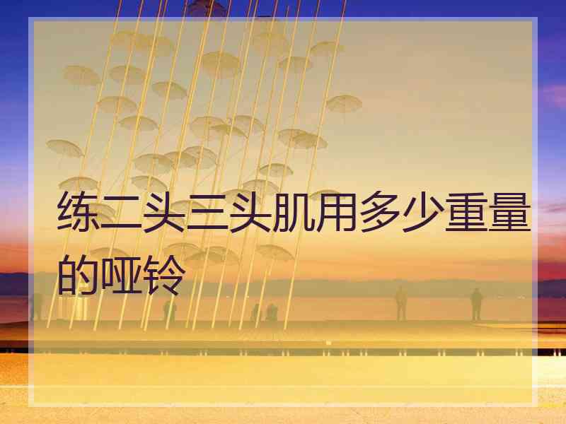 练二头三头肌用多少重量的哑铃