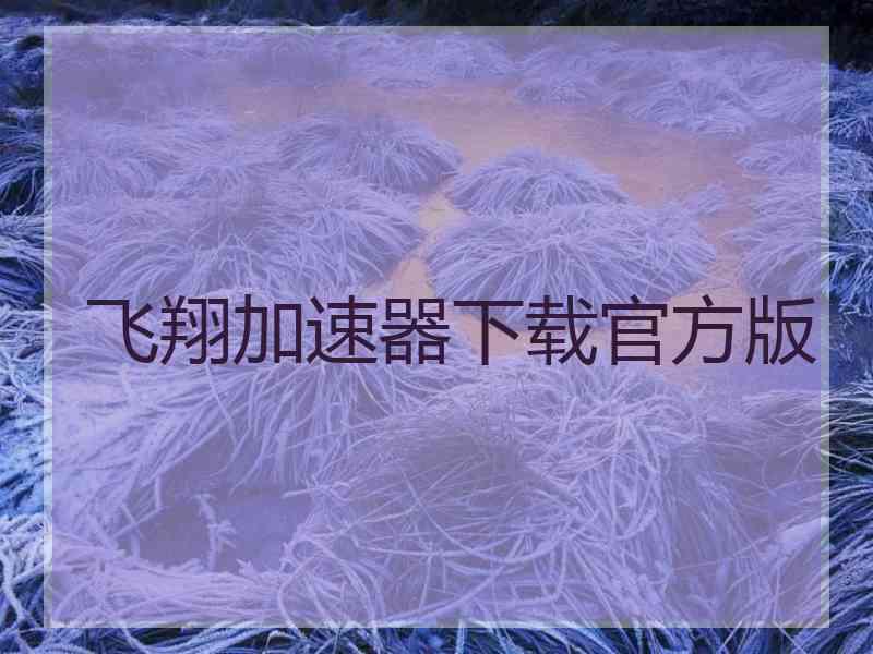 飞翔加速器下载官方版