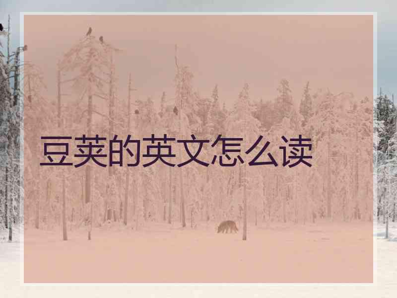 豆荚的英文怎么读