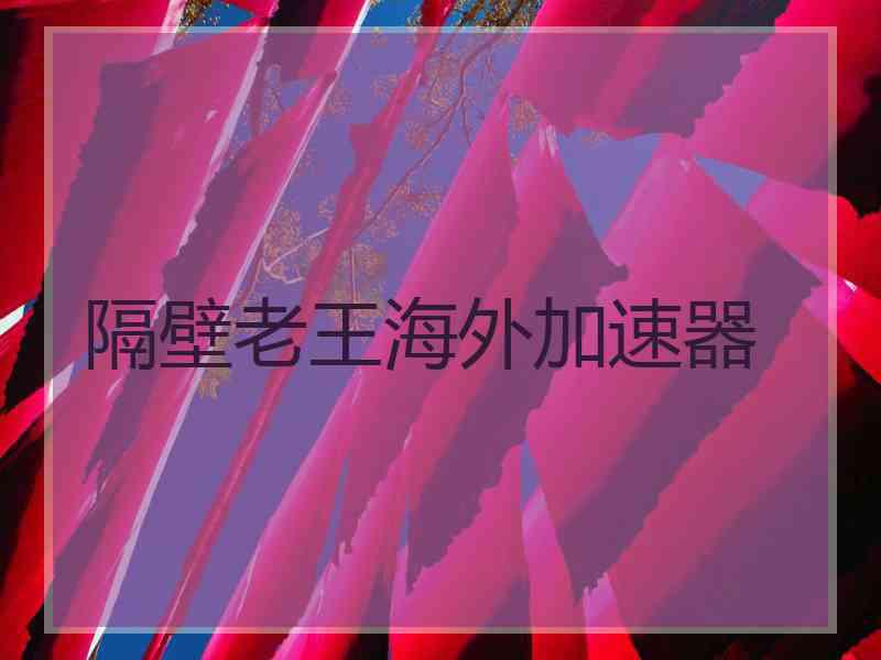 隔壁老王海外加速器