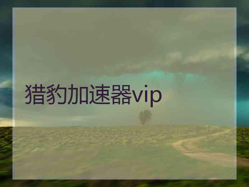 猎豹加速器vip