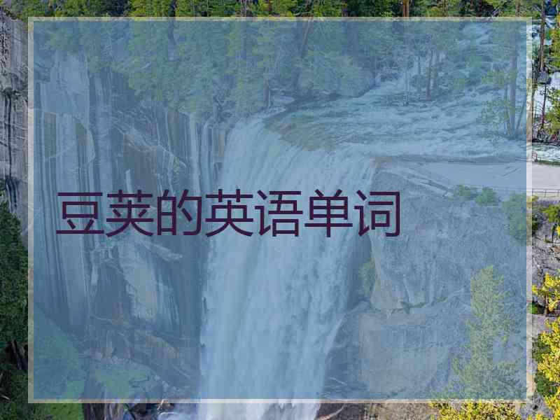 豆荚的英语单词