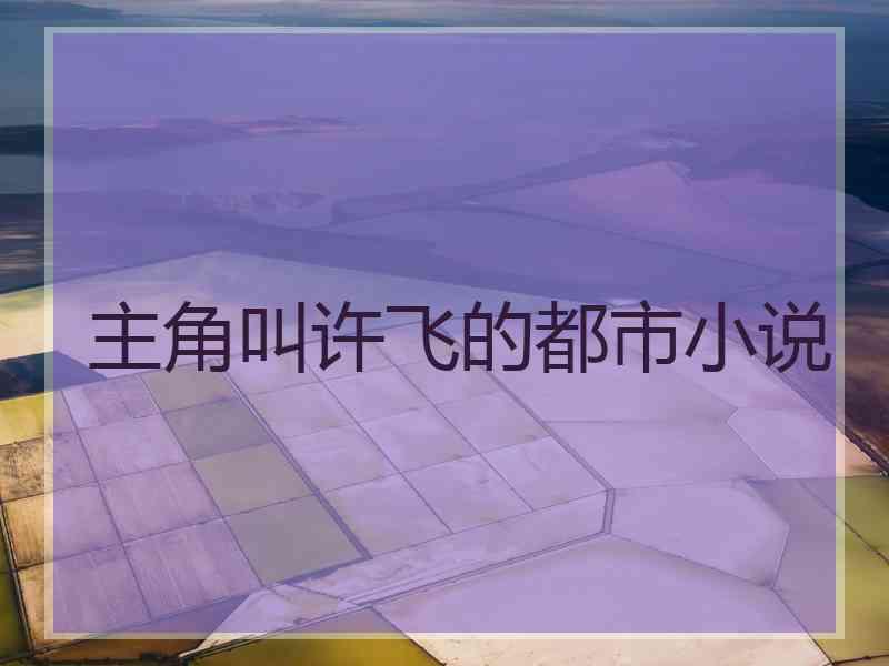 主角叫许飞的都市小说