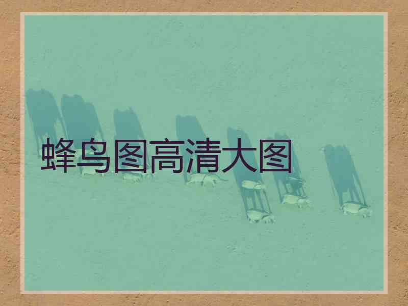 蜂鸟图高清大图
