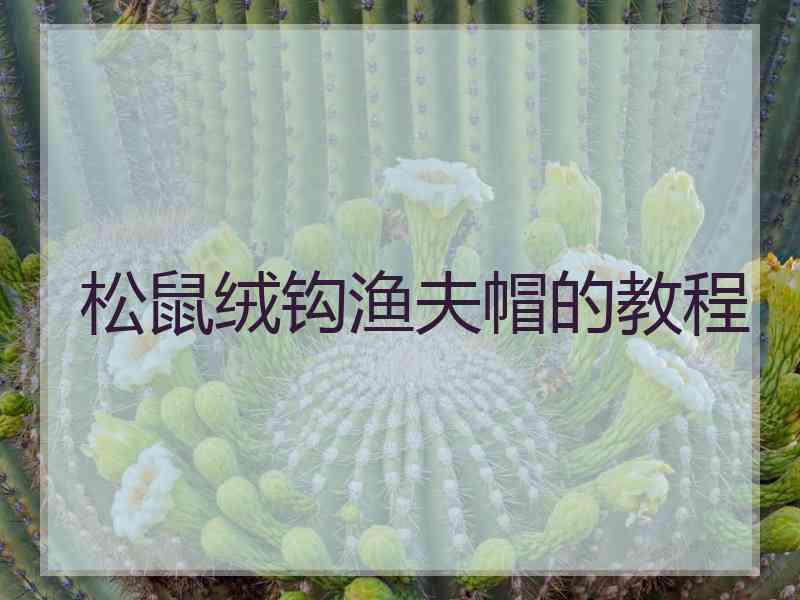 松鼠绒钩渔夫帽的教程