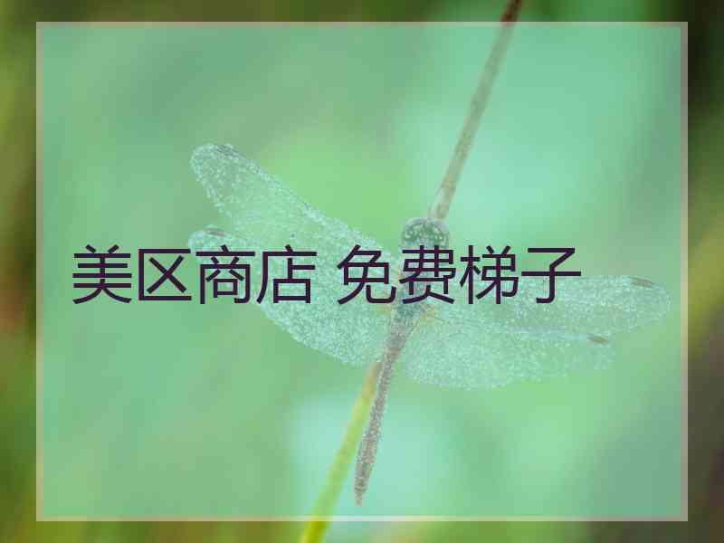 美区商店 免费梯子