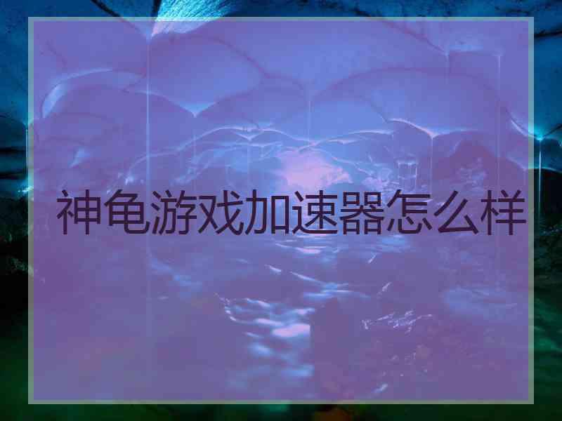 神龟游戏加速器怎么样