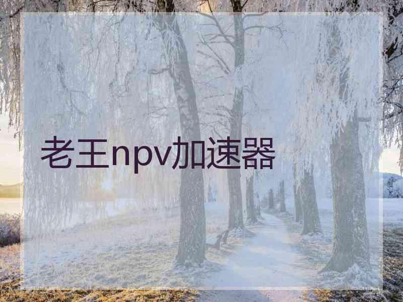 老王npv加速器