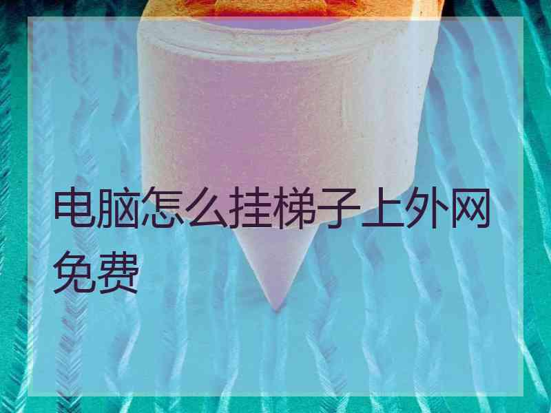 电脑怎么挂梯子上外网免费
