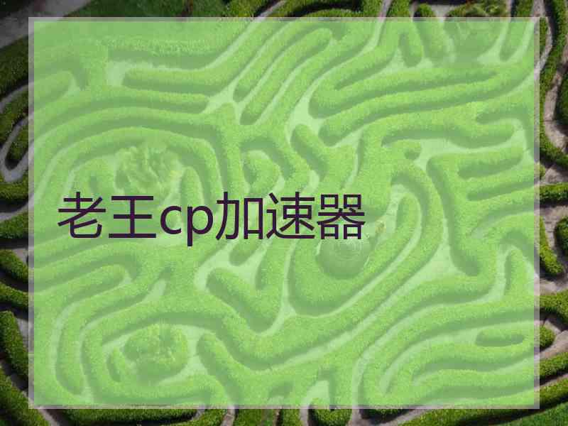 老王cp加速器