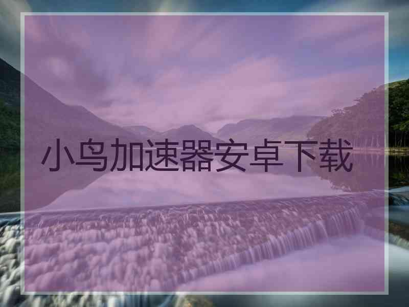 小鸟加速器安卓下载