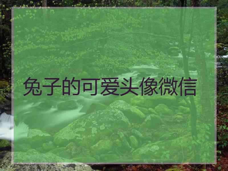 兔子的可爱头像微信